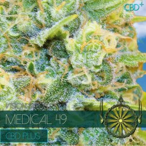 New post (Medical 49 – CBD+) has been published on Vision Seeds - visionseeds.nl/product/medica…