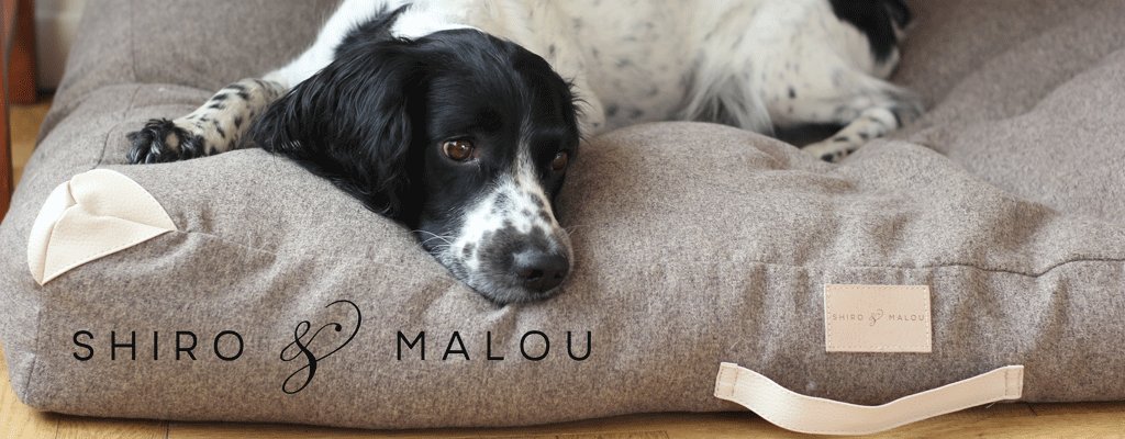 GulligasteHund's tweet photo. VetZoo har allt för ditt husdjur https://t.co/bw537I3xVG @VetZoo_se @JohannaToftby #hundfoder #husdjur #hundmat #hundar #kennelblackoranges https://t.co/9WhipvtsWE