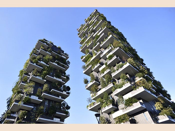 TIPACorp's tweet photo. Milan’s “Vertical Forests” to spread soon across  China https://t.co/Q45moeHNAr https://t.co/tn0Dc56FXa