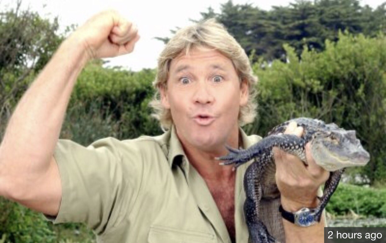 Happy Birthday Steve Irwin   