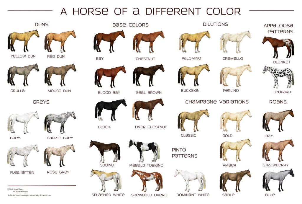 BethTolhurst's tweet photo. 17 Colors of the Wind https://t.co/E1KQM9CF9C https://t.co/eit6S36TuJ