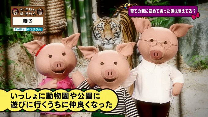 Twitterで画像を見る Twitterで画像を見る