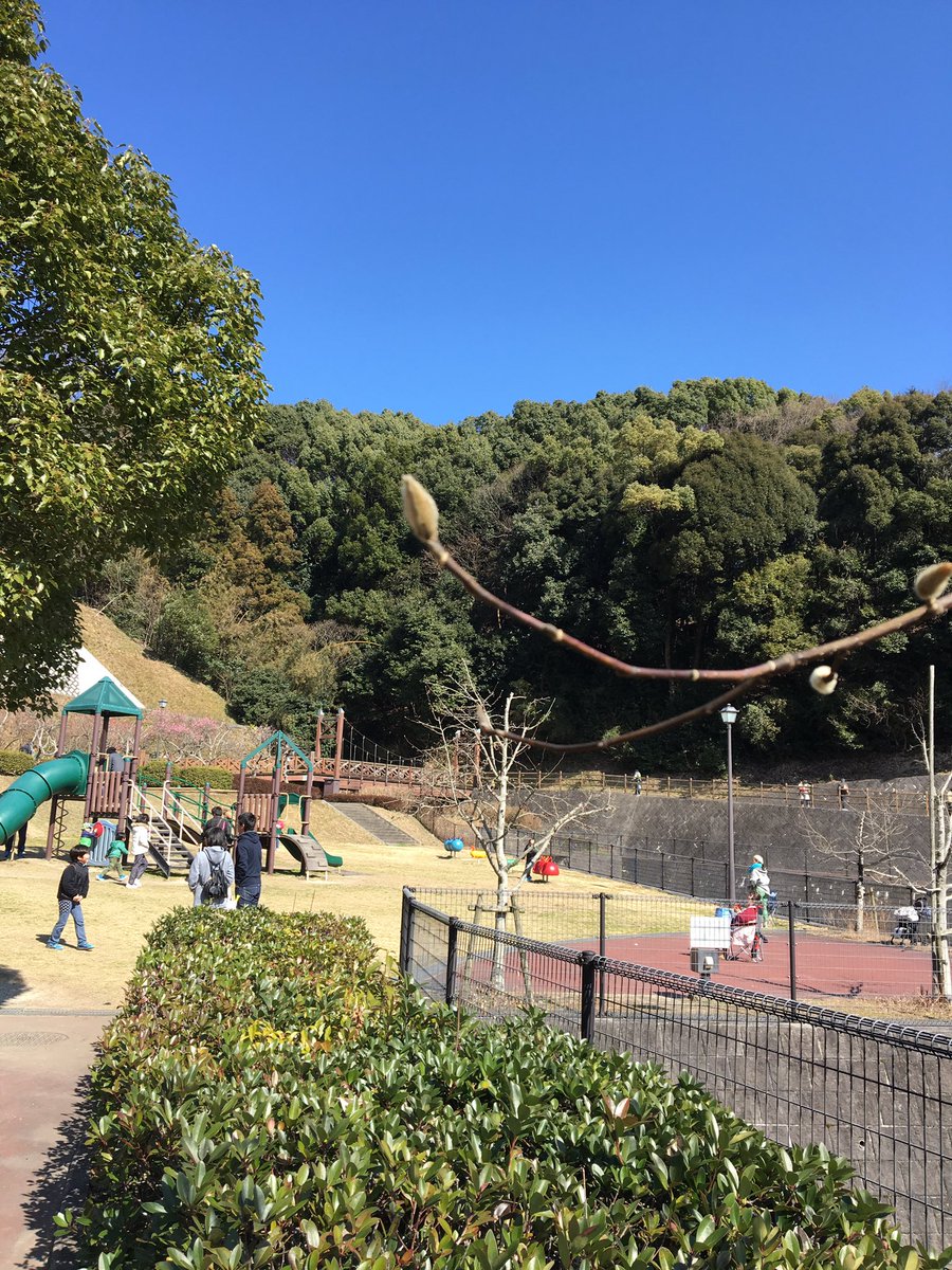太宰府梅林アスレチック公園 Hashtag On Twitter