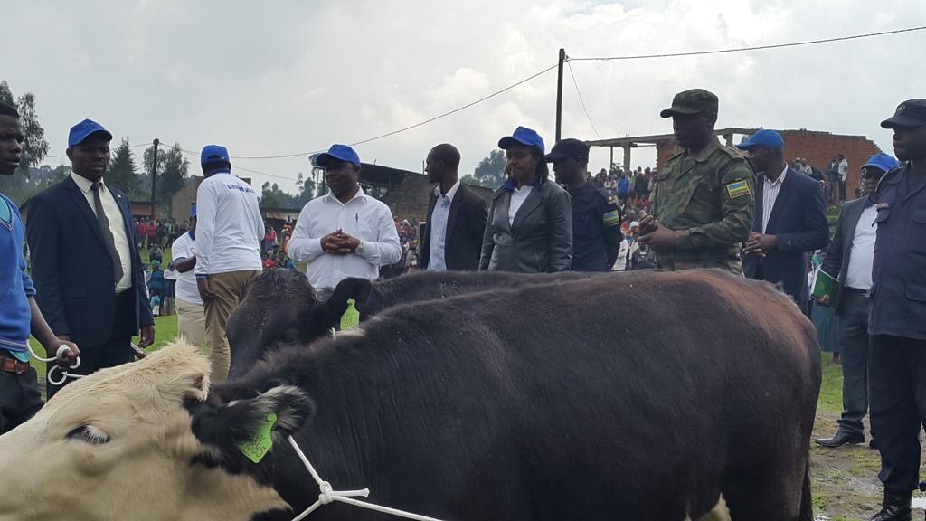 Icyumweru cyahariwe gahunda ya #GirinkaMunyarwanda Mumajyaruguru <a href="/MarkBagabe/">Mark Bagabe</a> <a href="/RwandaAgri/">Ministry of Agriculture & Animal Resources |Rwanda</a> <a href="/Izamuhaye/">Izamuhaye J Claude</a> <a href="/k_chris2005/">KanyandekweChristine</a>