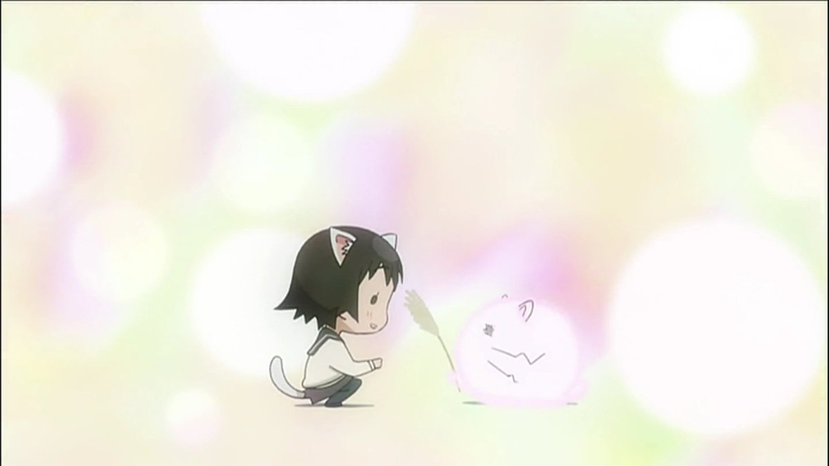 りょうすけ たまゆら ももねこーら Auf Twitter ねこの日なので たまゆらが誇る 竹原のものにされちゃった まるくてびんくでほわほわした物体 哺乳網広島飛び出し坊や目ネコ亜科ももねこ属ももねこ なので むゃ 猫の日 ねこの日 猫の日なのでネコ画像