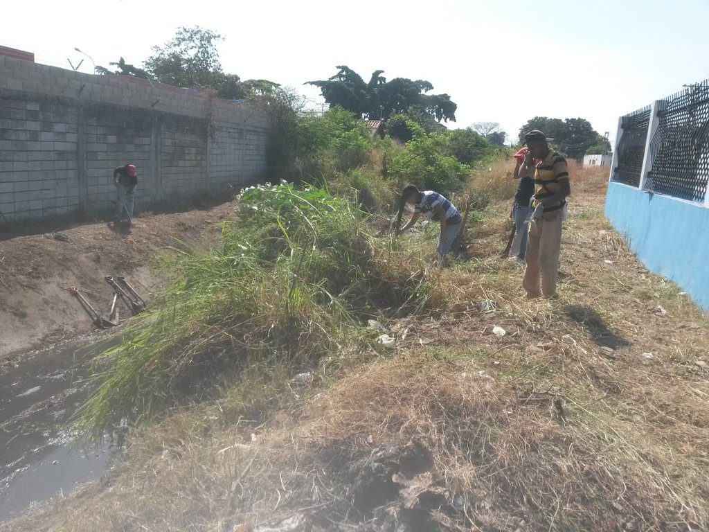 QueNoticiasVE's tweet photo. SAN VICENTE | Continúan los trabajos de mantenimiento y recolección de desechos en el marco del Plan #SanVicenteSomosElBarrio https://t.co/ujqXW66xhC