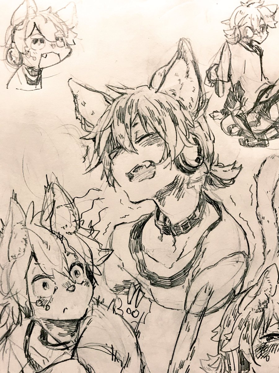 2月22日猫の日っ!すべりこみ黒コノコノ…!! 