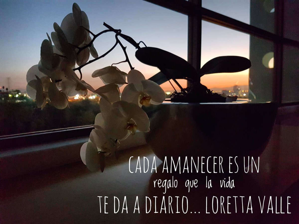 LorettaValleMX's tweet photo. Apreciemos diario los regalos q la vida nos da a manos llenas q éstos son gratis ;) #LorettaValle #NoTeCompliques @cadenahtv #LaTeleQueUne https://t.co/4jlTIq21Tt