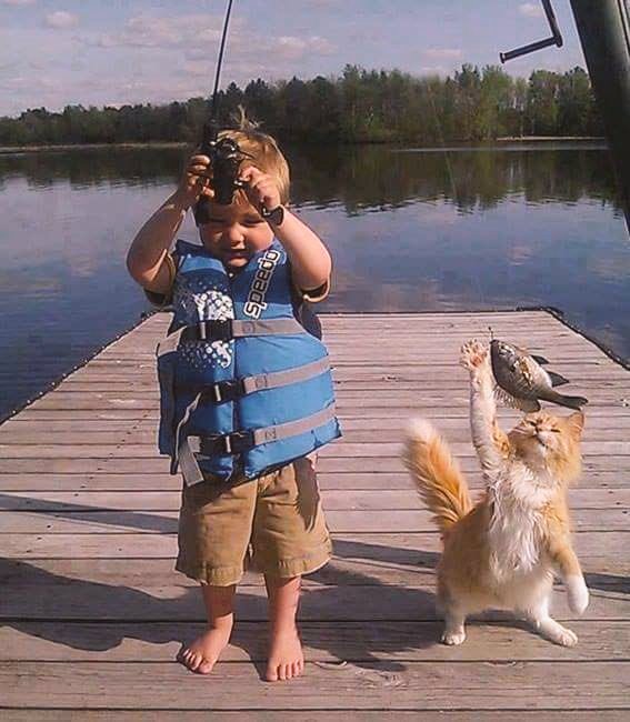 mitchelrush's tweet photo. #MiDíaEsMasBonitoCuando trabajamos en equipo,  🐱 😂 https://t.co/GlDH3qtEdf