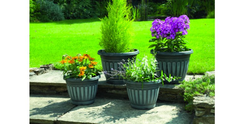 LoveWilko's tweet photo. Bring colour back to your #garden by starting to #plant in containers #WilkoTips https://t.co/vXrq537tN6 https://t.co/nc5kDLuvHC