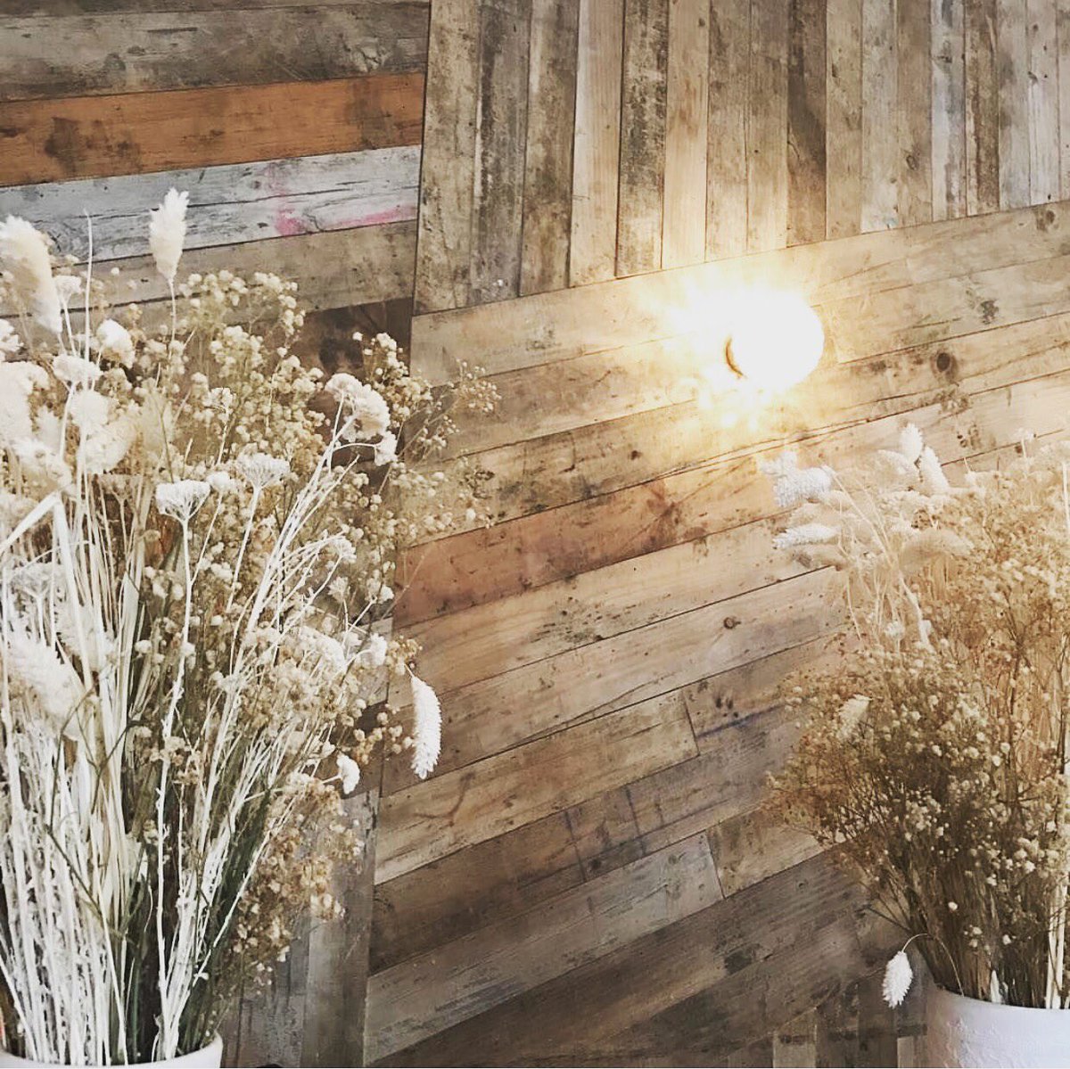 DrayMartina's tweet photo. 👋🏻👋🏻🌾🌾🌕🌕
#GrupoLarrumba #DrayMartina https://t.co/o2aWKCGN4x
