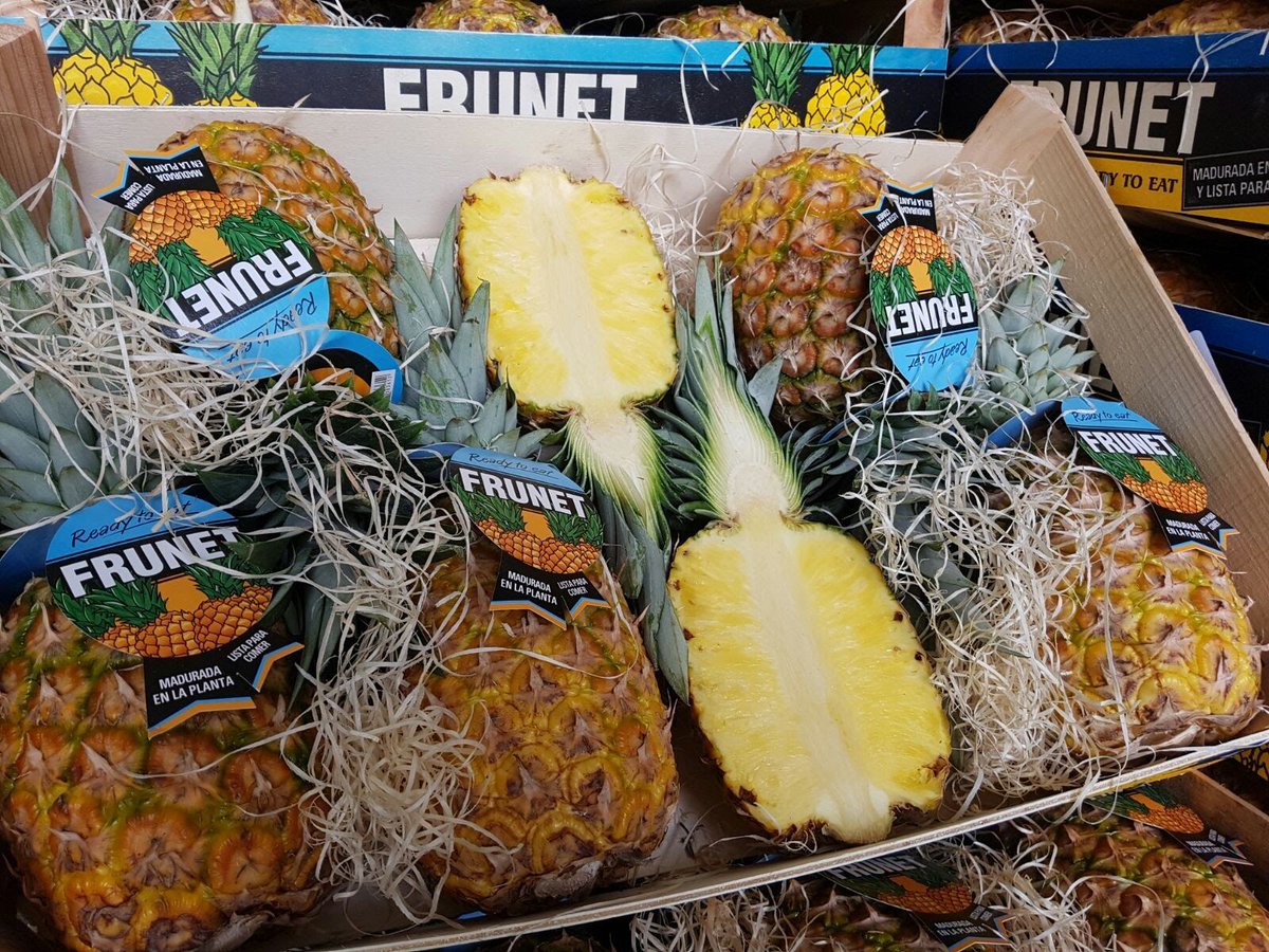 FrutasMora's tweet photo. ¡Las Piñas #Frunet, #piñas maduradas en su planta!
Su dulce olor lo confirman,es signo de que están en su punto óptimo
#FrutasMoraEspartinas https://t.co/IsD7s6jOVI