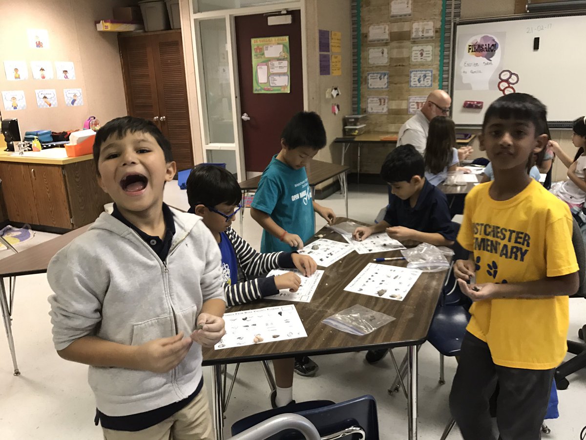 MrsLauraJimenez's tweet photo. Our class had so much fun yesterday. We found so many fossils! @newschester https://t.co/jbnyUUYddn