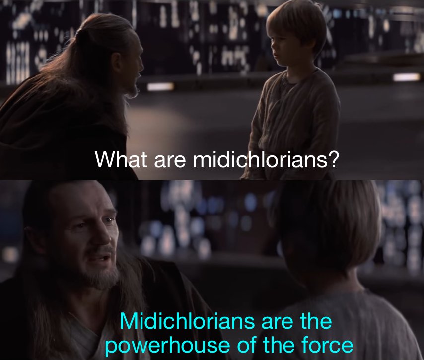 SWPrequelMemes's tweet image. 