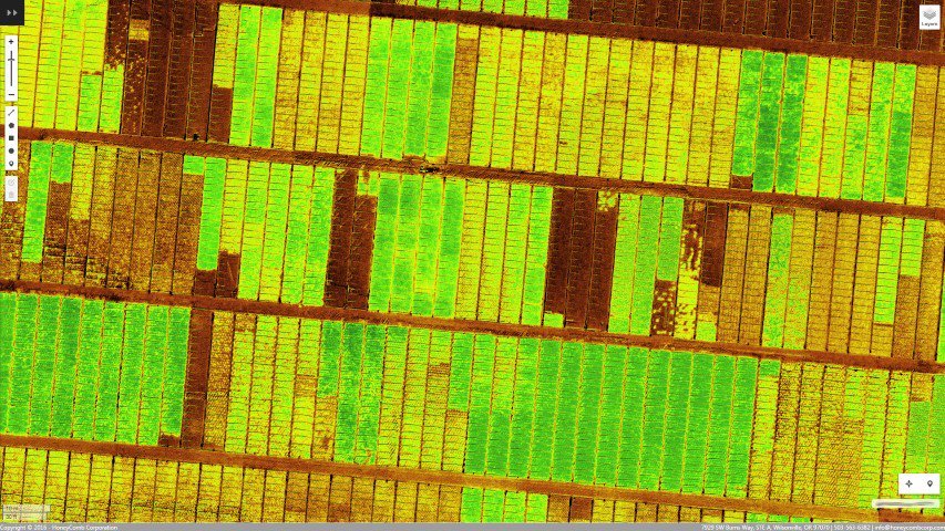 Nurseries are using drone-based NDVI to identify health issues and better manage inventory. #drones #precisionag #ndvi