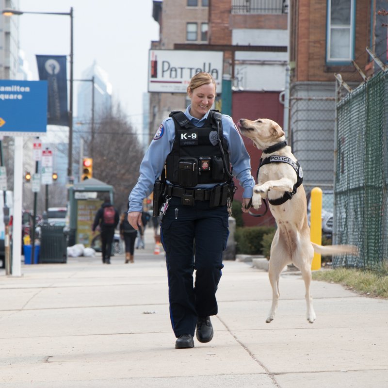 I always enjoy a good walk! Happy #NationalWalkYourDogDay!