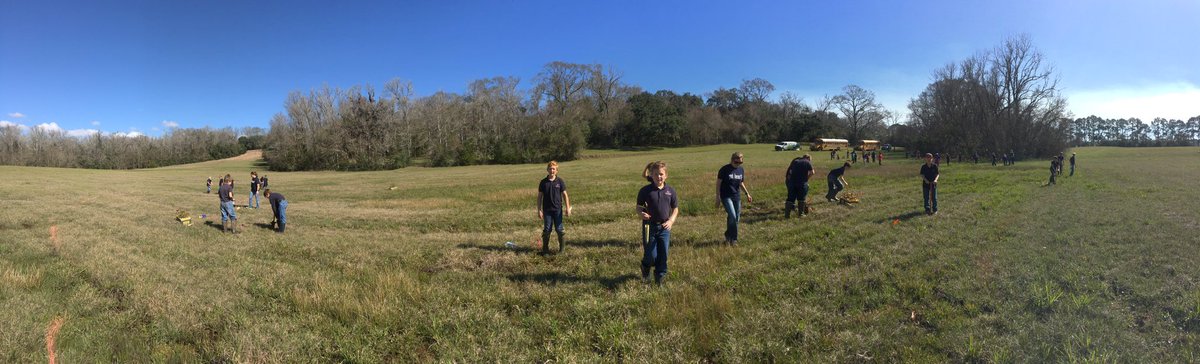 NehrbassInClass's tweet photo. 2 weeks ago, 5th&amp;6th grade planted ~200 seedlings that they grew as part of LSU's #CoastalRoots program #berchmansacademy @BerchmansSaints https://t.co/eaI6FThDHk
