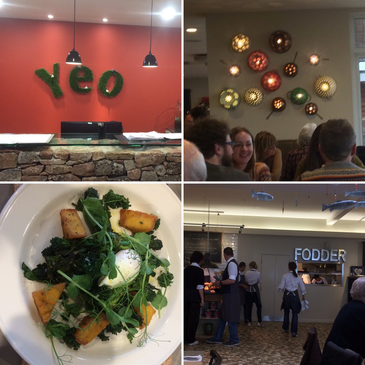 nomimack's tweet image. Amazing treat of a lunch @yeovalley HQ. Quirky &amp;amp; fun interiors, friendly staff &amp;amp; top food! #yeovalley #nosh #goodtobeintheSW #home