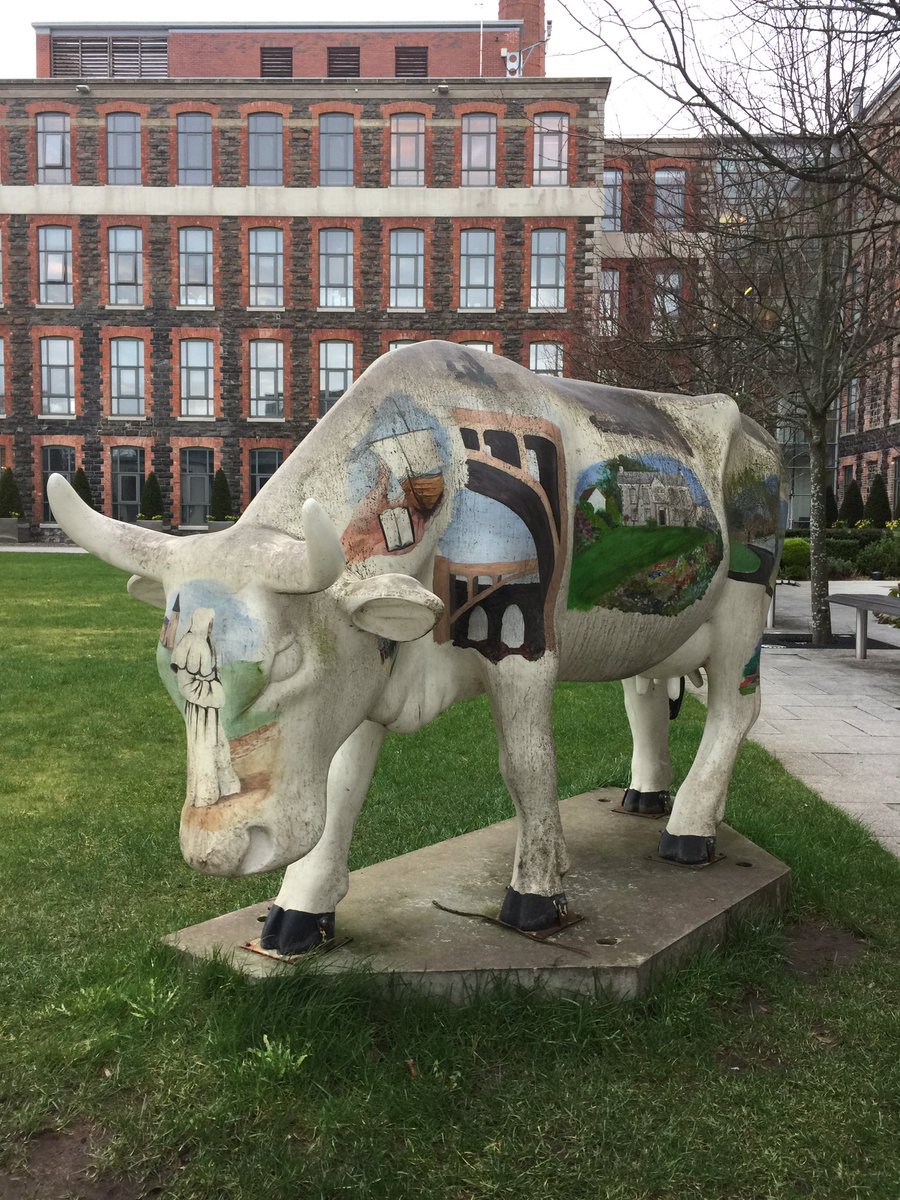 helgasneddon's tweet photo. Love these at Mossley Hill - spotted on way out from Coproduction conference @ANBorough @CDHNJoanne #coproni https://t.co/jOI3KsLAeS