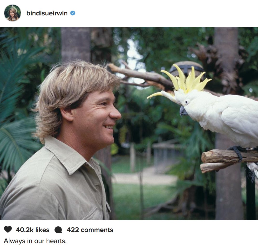 ABC's tweet photo. Bindi Irwin posts tribute to late father Steve on what would have been his 55th birthday. "Always in our hearts." https://t.co/GbOIRM8nHJ https://t.co/U3fHZvtyX2