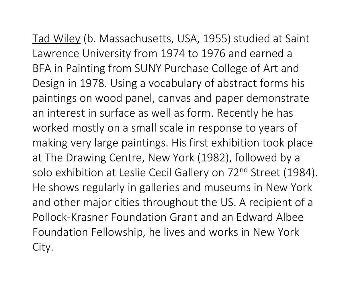 LACUNAE_INFO's tweet photo. Today's LACUNA [ 04 ] artist is New York City-based painter Tad Wiley. See more of his abstract works online at https://t.co/Ee6dmS3UqZ. https://t.co/1ZLSGHLjvZ