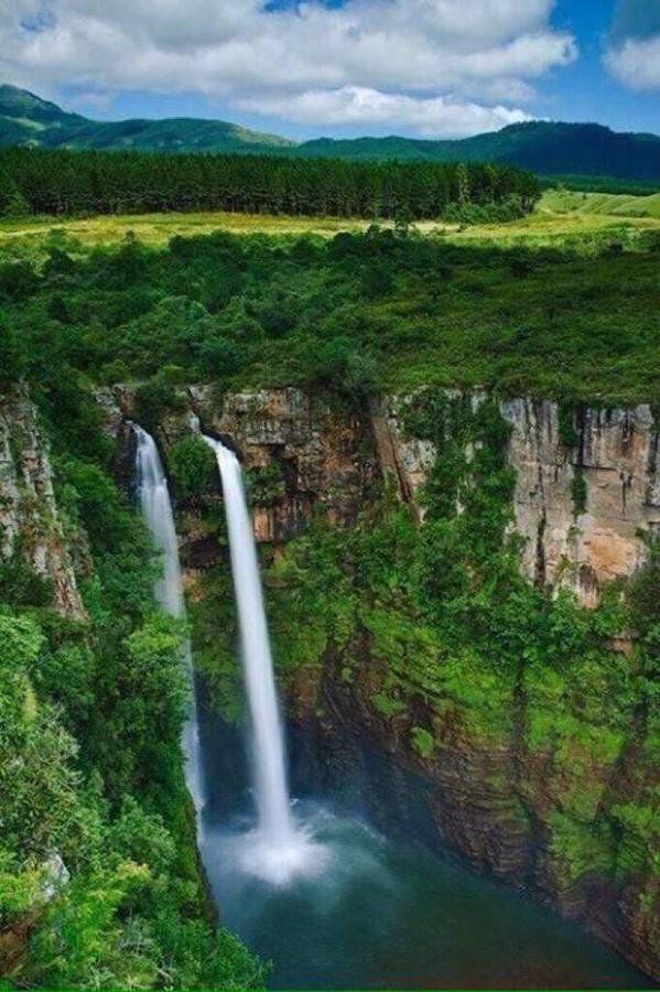 ButDansLaVie's tweet photo. Explorer l'Afrique du Sud ☀️😍🐘✈️ https://t.co/D53ALzGhiK