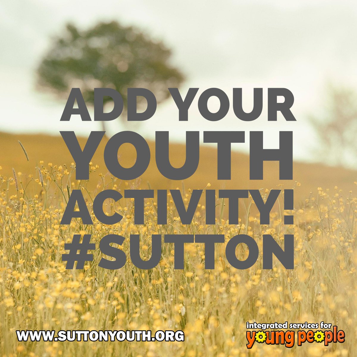 Sutton Youth tweet media