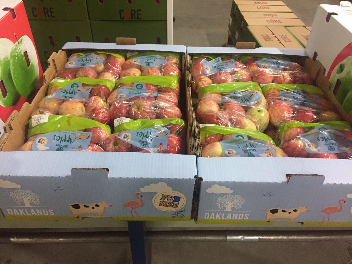 TommievanZyl's tweet photo. #ZZ2 #RoyalGala #Apples-2017. Freshly packed at #BellaFrutta #Ceres #WCape. Customer value globally by professional sales team #CoreFruit. https://t.co/leE6VfSO04