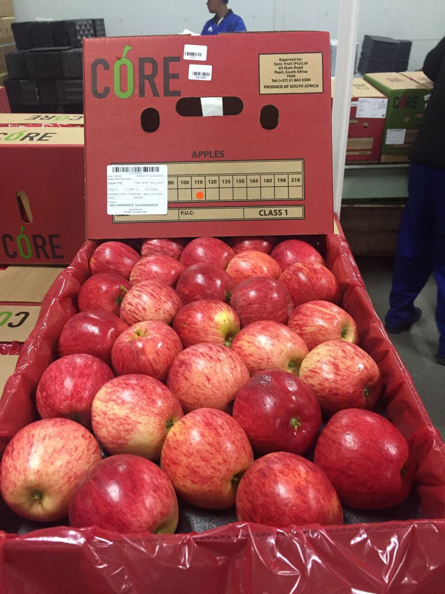 TommievanZyl's tweet photo. #ZZ2 #RoyalGala #Apples-2017. Freshly packed at #BellaFrutta #Ceres #WCape. Customer value globally by professional sales team #CoreFruit. https://t.co/leE6VfSO04