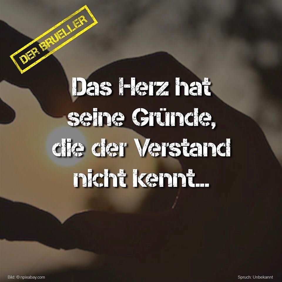 Der Brüller (der_brueller_de) Twitter