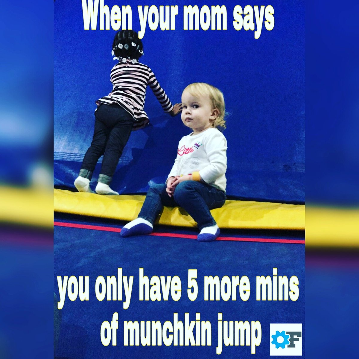 factorygadsden's tweet photo. Its 1/2 price Wednesday!! Munchkin Jump (6 and under only) 1-3pm
Open Jump (all ages) 3-9pm 
#playnowgrowuplater https://t.co/32WXEVvdIK
