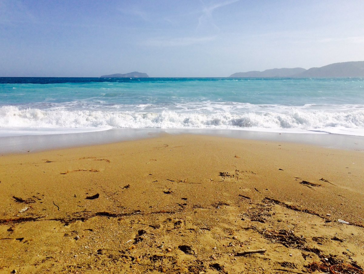 traceyfenner's tweet photo. Conscious dance &amp; wellness retreats in Ibiza! @traceyfenner #womensretreats #selfcare #healing #consciousdance #somaticmovement #ibiza2017 https://t.co/gMFgBtzWTB