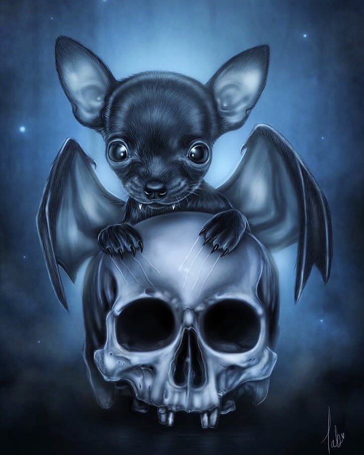 MakingMyths's tweet image. If #chihuahuas could fly 💀💙 #vampirebat #illustration #digitalart