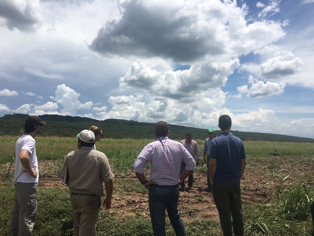 MercedesCabanas's tweet photo. Planificando el 2017 #proicsa #jujuy #cañeros #chalican #campo 🎋☀️ https://t.co/TdBhMFOAtz