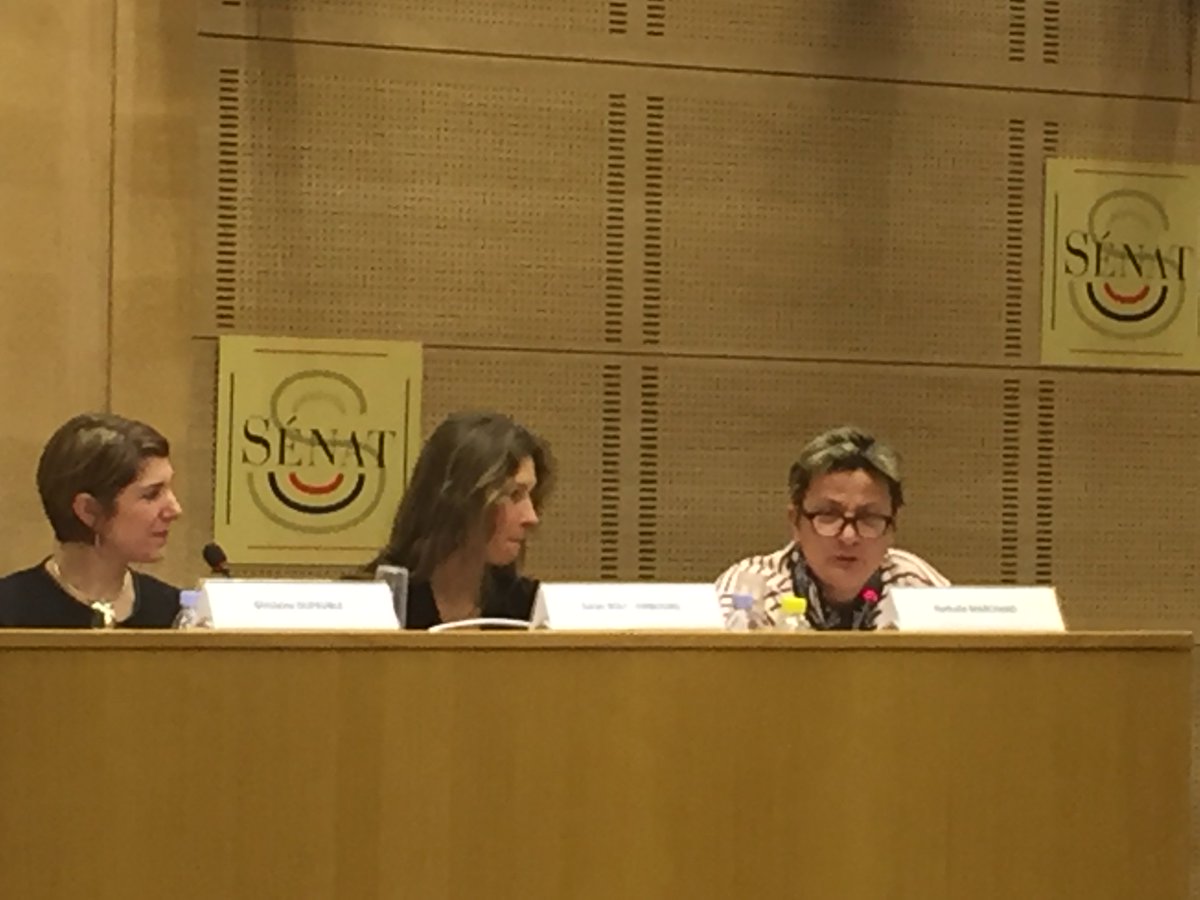 FrancoiseGatel's tweet photo. Au Sénat, Nathalie Marchand, agricultrice à Noyal sur Vilaine, pour parler de son métier dont elle est fière. https://t.co/wGFBF4DdBY