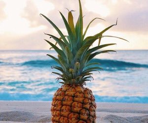 MissSurpriseOT's tweet photo. βBe a pineapple. Stand tall, wear a crown, and be sweet on the inside.β πβ¨ #PineappleInProgress #missaz2017 #misssurpriseot2017 https://t.co/HC7TJGZ9Nk