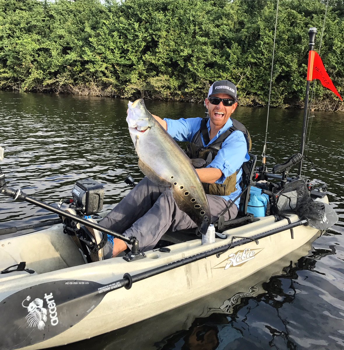 YakFish TV tweet media