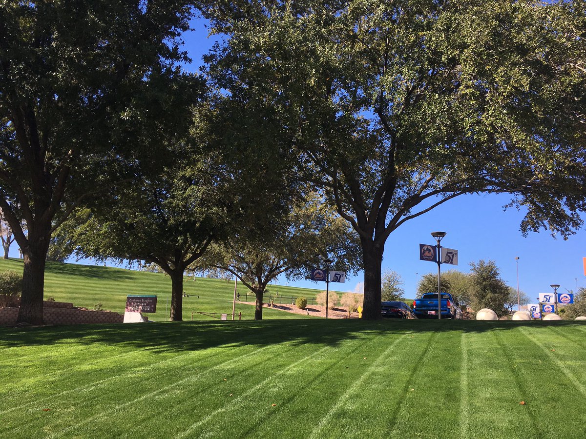 AviatorsLV's tweet photo. Nothing like the smell of fresh cut green grass in the morning! 👽⚾ https://t.co/OqdRMcMrYe