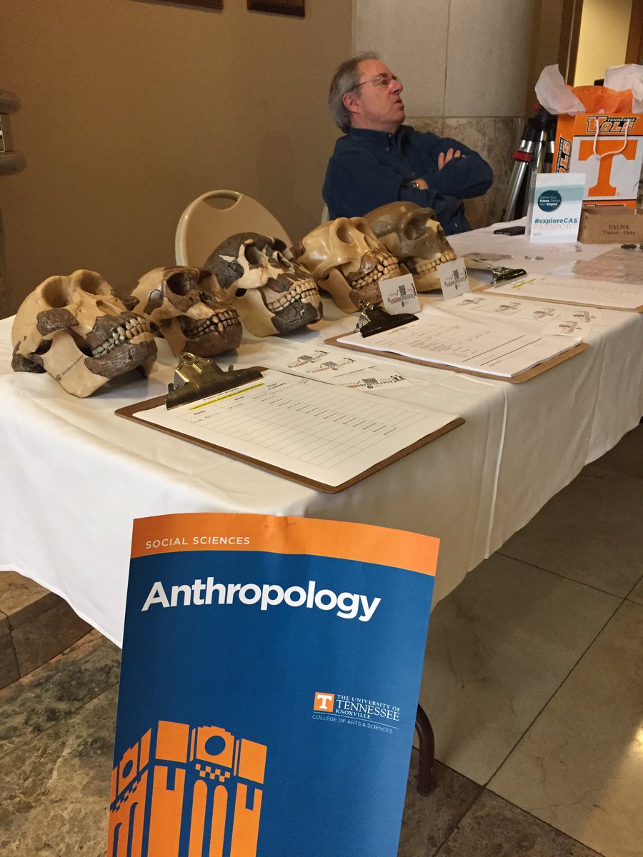 utk_uaa's tweet photo. Come see us on Floor 1 in the library! #sophomorestepup #utk #anthropology https://t.co/MKNUPeRQFi