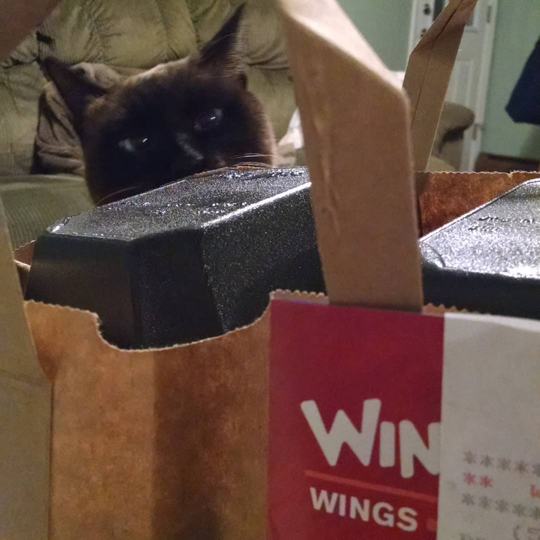 WingZone's tweet photo. #WingZoneWednesday Paws off my Wing Zone! Not cool bro. https://t.co/Q2tpINAEe2