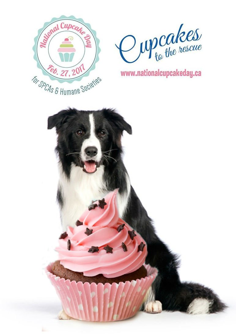 Visit us at <a href="/HalwellMutual/">Halwell Mutual</a> Monday  Feb 27th @ 11:00am - 812 Woolwich St., Buy yummy  cupcakes &amp; visit with a "furry" friend!