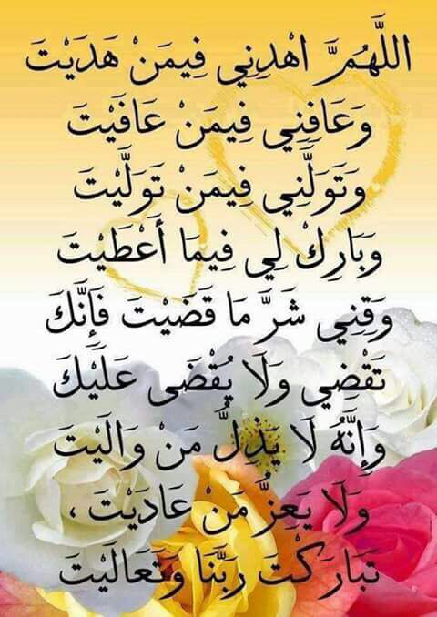 Elsaeed (@elsaeed12905306) on Twitter photo 