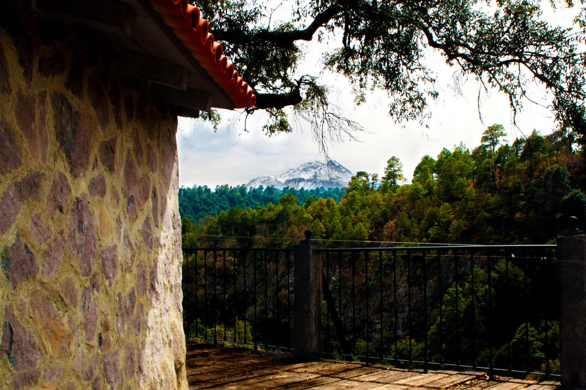 Un destino excepcional...

#ParqueNatural #Alpinia #Puebla #México