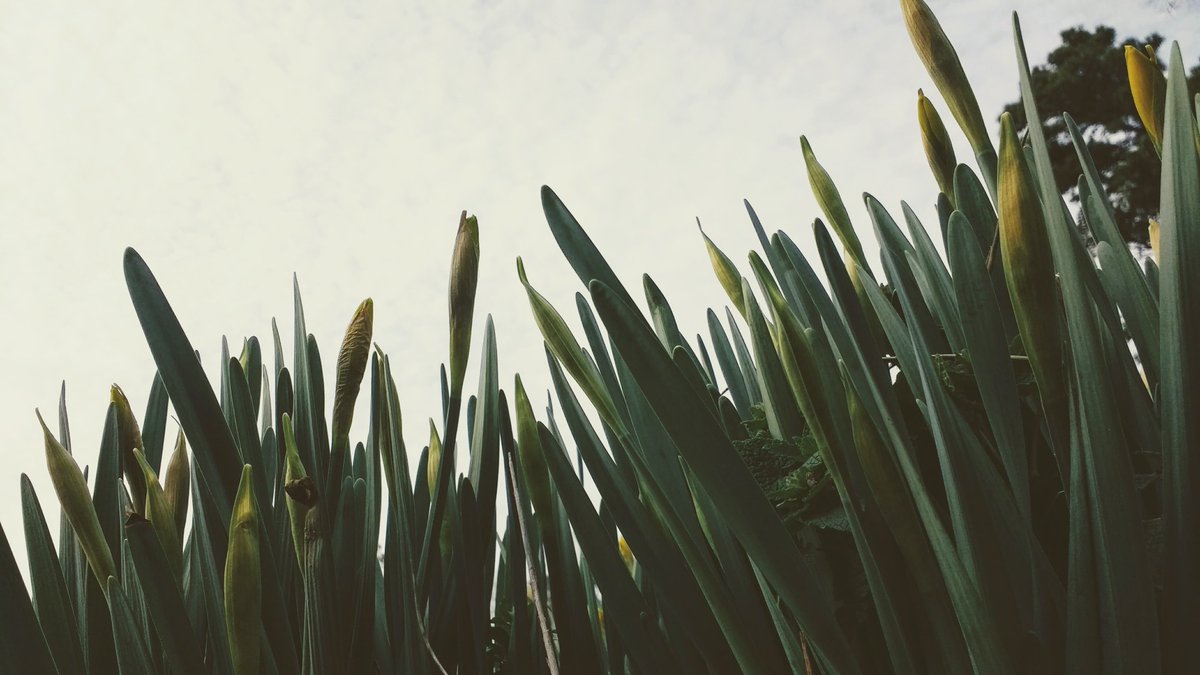 New developments are coming to the farm! Stay tuned! #farmlife #spring #newproduct