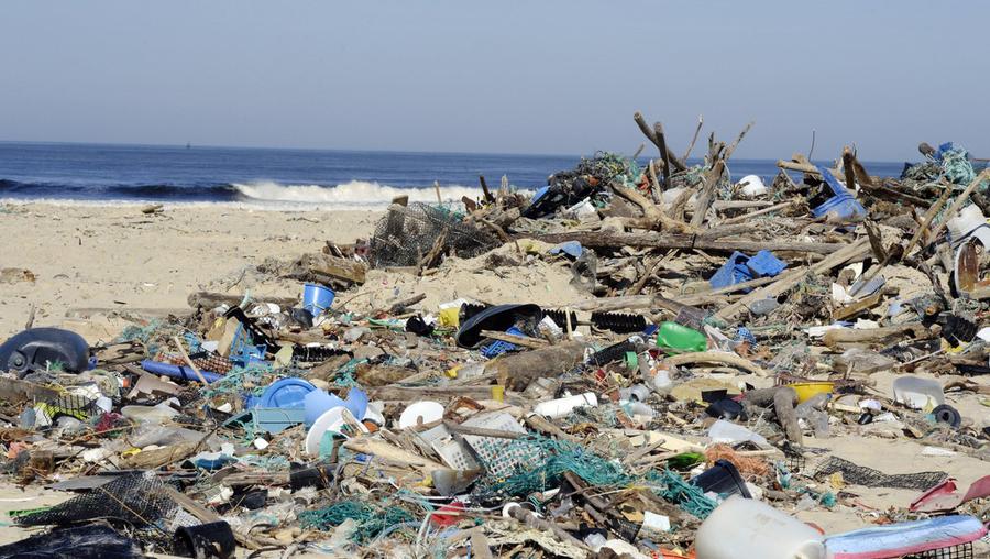 SciencesPure's tweet photo. Microparticules de plastique: le fléau invisible qui pollue les océans
https://t.co/aR4MQvEVJe… #Planète
https://t.co/PBepWEG55t