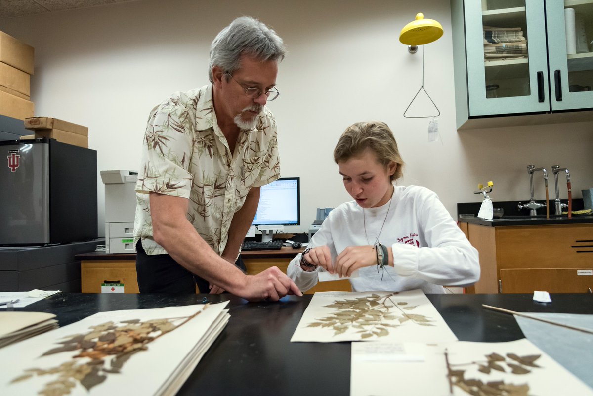 IUScienceNews's tweet image. How do you digitize 150,000 plant specimens? After 130 years, the IU Herbarium is putting their collection online: go.iu.edu/1tEA