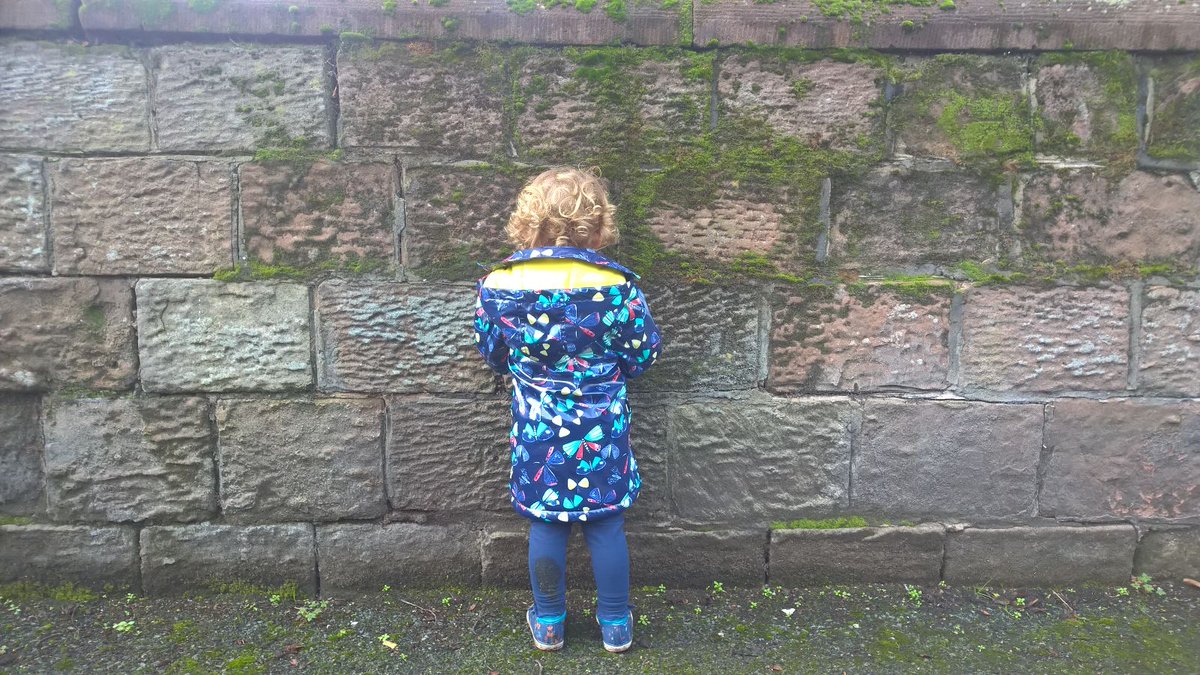 hevap's tweet photo. Stand by the wall for a picture said @ColinDorricott #facepalm #fail #toddlerlife #ParentingForIdiots #parentingtips #cuteoff https://t.co/rnzEkOmwNG