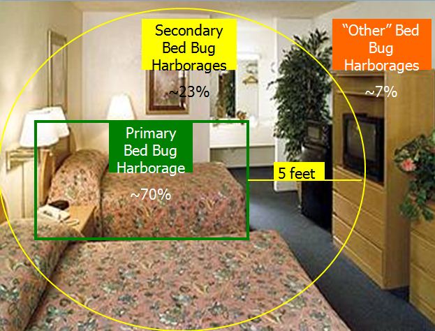 foreverlovingto's tweet photo. Bed Bug Facts. https://t.co/fIKTWnW8JY