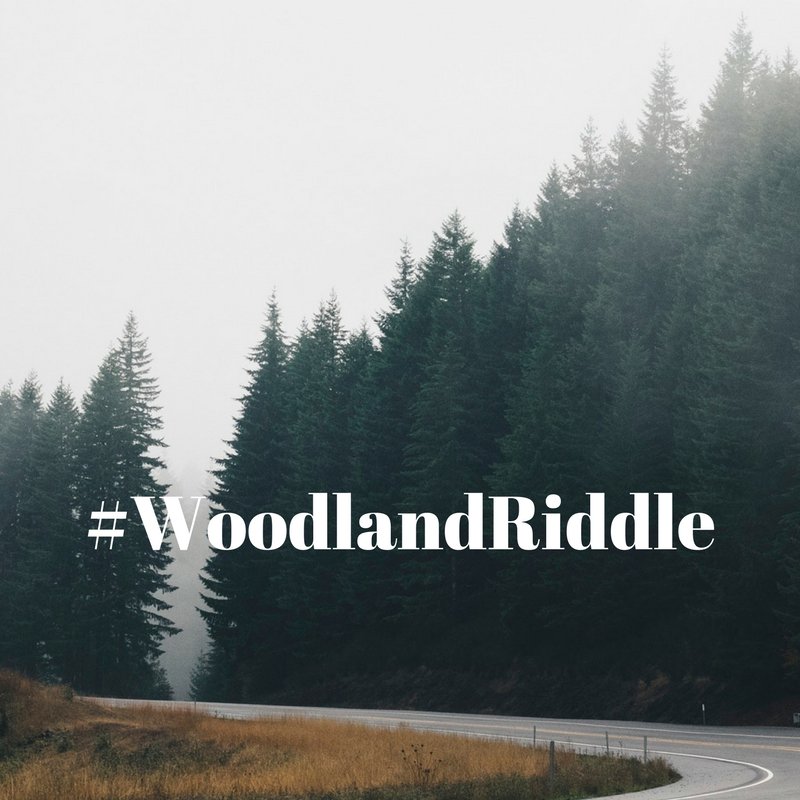 Legacy14woods's tweet photo. Wheels over me roll, water under me flows. When I close I open, when I open I close. What am I? https://t.co/9NXxyaMBZ3