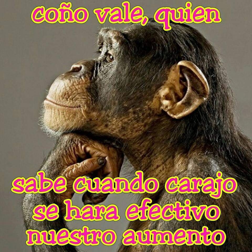 annyvanessa70's tweet photo. Quien sabe? https://t.co/AZUYeBGnAV